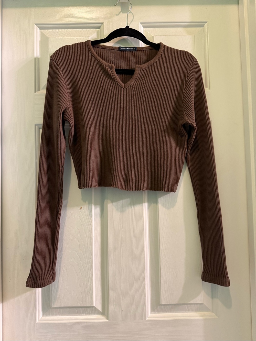 Brandy Melville Brown Ribbed Crop Sweater